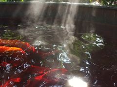 -黄山温泉国际旅游度假区