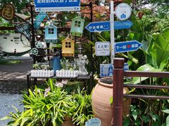 -东平国家森林公园