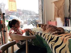 -平行世界·猫咖(首经贸店)