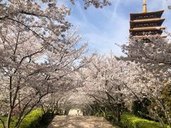 -牛首山文化旅游区