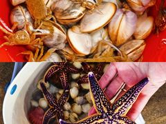 -巧克力渔家.小船海鲜胶东菜(万平口店)