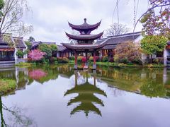 -西溪国家湿地公园