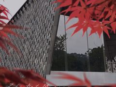 -知美术馆