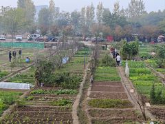 -西安软件新城软件研发基地2期