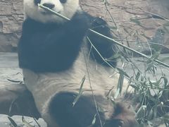 -石家庄市动物园