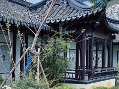 -青果巷历史文化街区