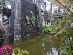 -瑞丰园庭院餐厅·白族传统家常菜