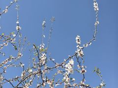 -北京明城墙遗址公园