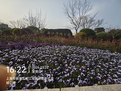 -新江湾城公园