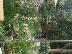 -谷咖啡·鲜花绿植花园餐厅