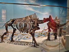 -国家自然博物馆