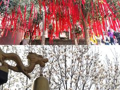 -长春观