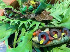 -天水蔬食料理(树德之光店)