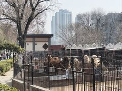 -保定市动物园