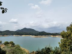 -广州市流溪河国家森林公园