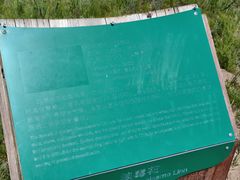 -御道口草原森林风景区