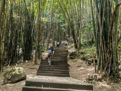 -凤栖山