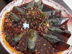 -苗侗地道红酸.酸汤鱼·酸汤牛肉