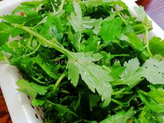 菊花苗-正能量脆肉鲩火锅