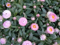 -山东大学(威海校区)