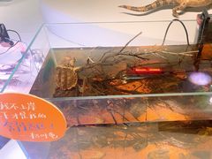 -中国湿地博物馆