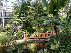 -北京植物园-展览温室