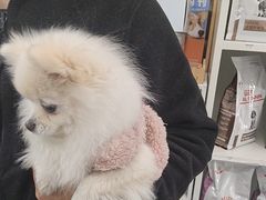 -爱侣宠医·鹦鹉专科·小型哺乳类·异宠专科(灵石路店)