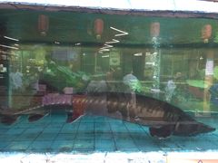 -年辉渔村·非遗传承餐厅(新丰江店)