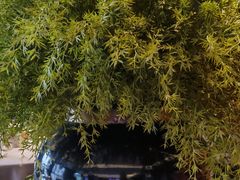 -徐记海鲜(大雁塔|金都店)