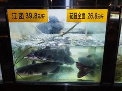 -融泽漁悦三只耳鱼火锅(南郑大道店)