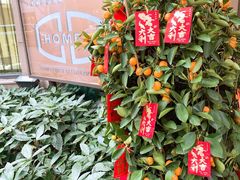 -HOMES上海本帮菜(襄阳公园店)