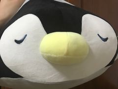 -PAWTOY爪e玩偶店(天兴罗斯福店)