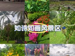-中国科学院西双版纳热带植物园