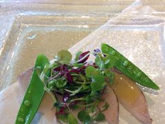 -料亭菊水楼