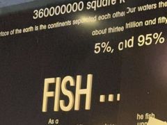 -鱼酷活鱼烤鱼(人信汇商场店)