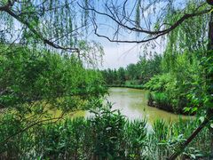 -塘沽森林公园