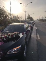 -蚂蚁婚车