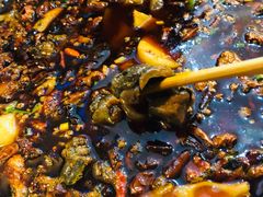 -黑竹香鸡(营和巷店)