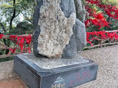 -广州市帽峰山景区