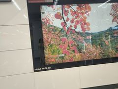 -七里庄(地铁站)