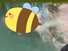 -南宫温泉水世界