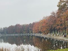 -东湖落雁景区