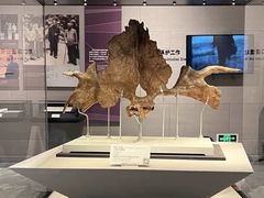 -北京周口店北京人遗址博物馆