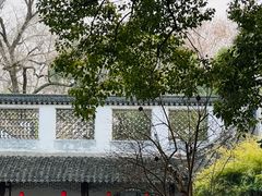 -上海醉白池公园