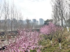 -南京眼步行桥
