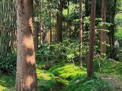 -成都市活水公园