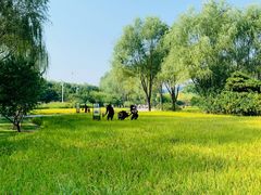 -北坞公园
