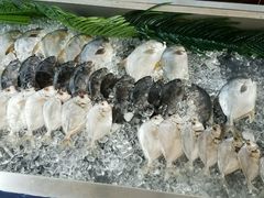 -渔家火锅·海鲜自助餐·演艺(亚龙湾天域酒店)