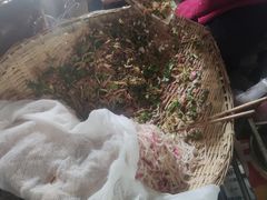 -半月镰胡姐脆皮萝卜饺子