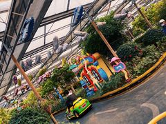 -南宫五洲植物乐园